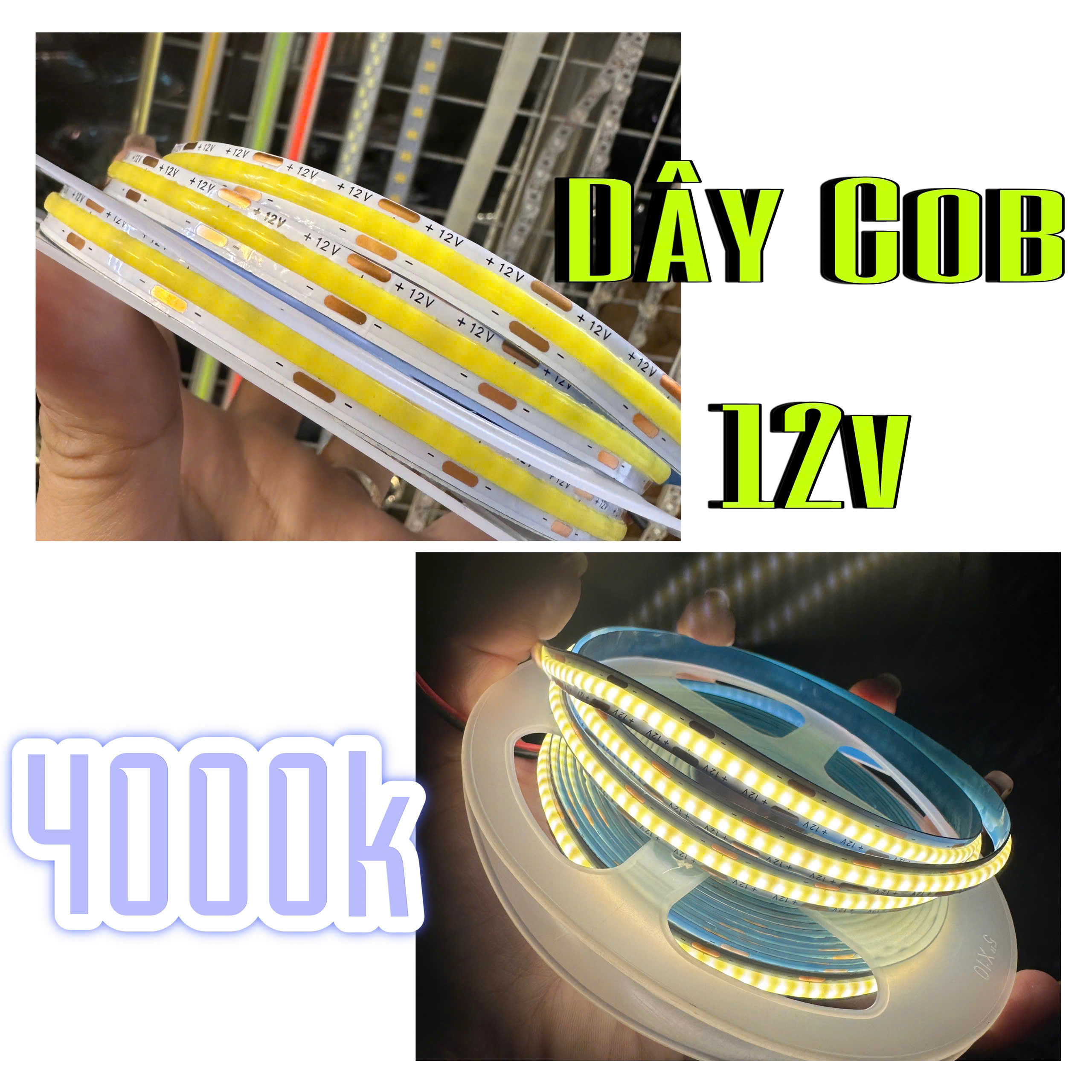 Dây COB 12V 4000K(TRUNG TÍNH)