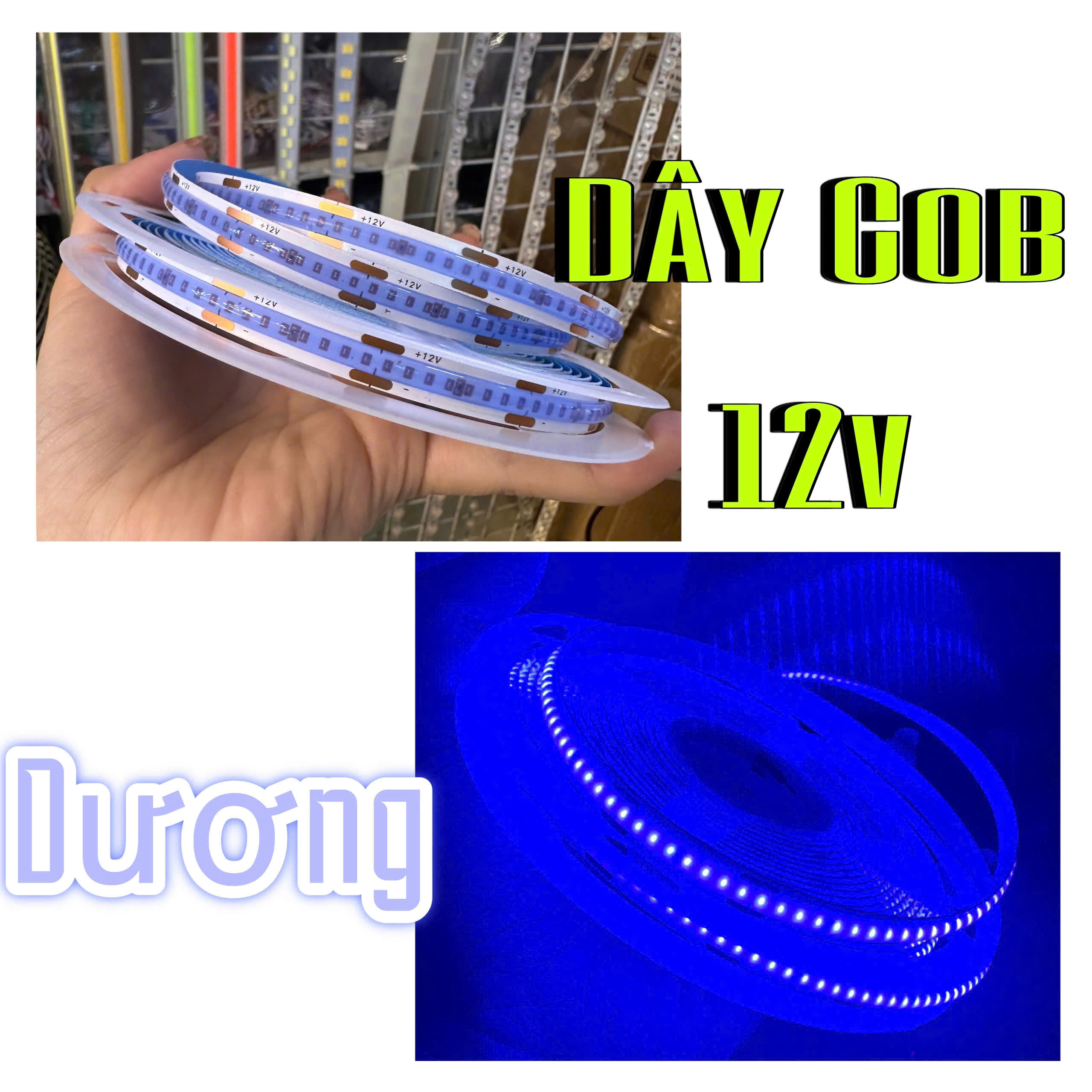Dây COB 12V XANH DƯƠNG