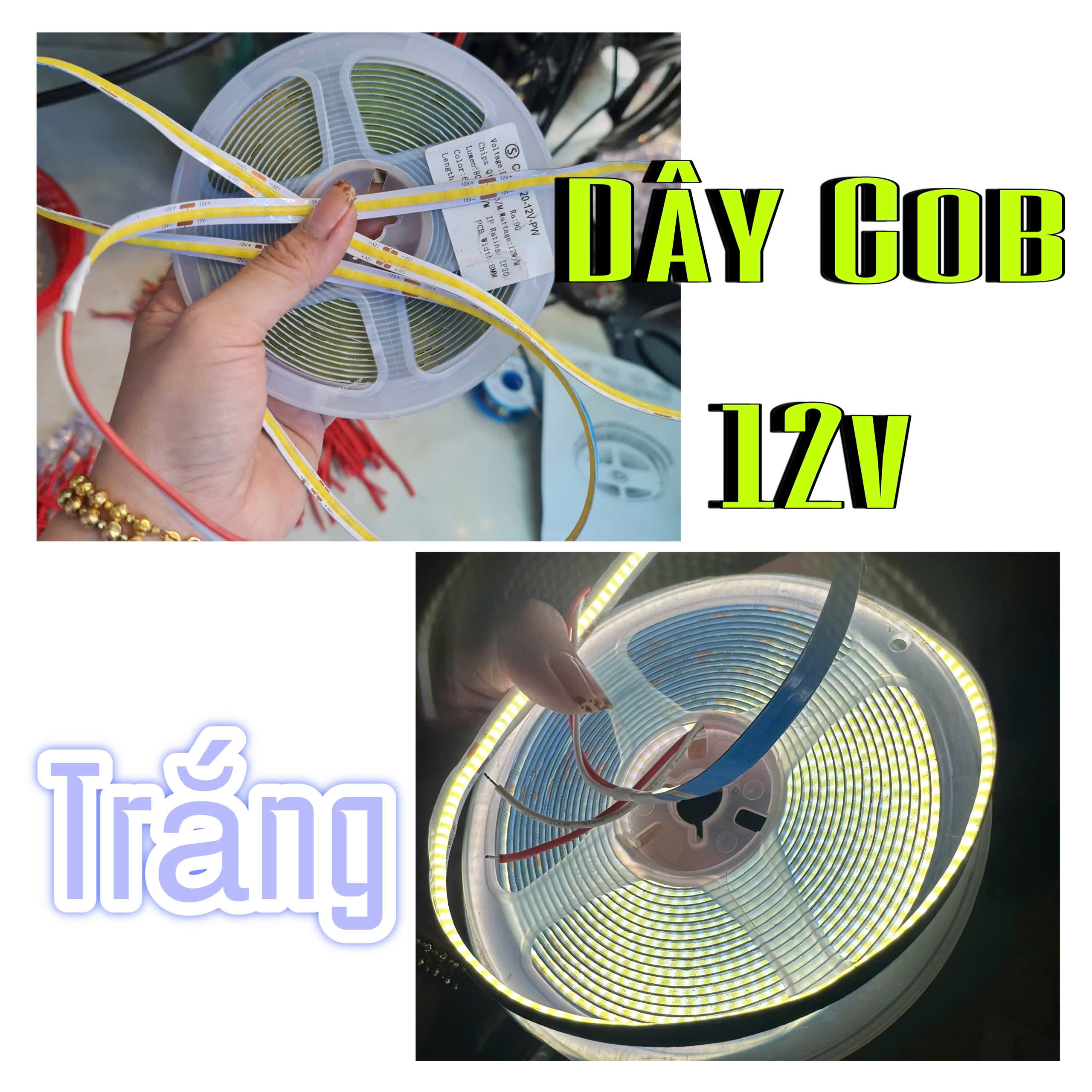 DÂY COB 12V TRẮNG