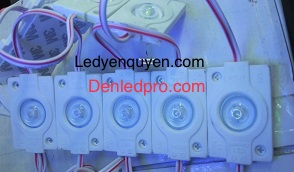 1 BÓNG LÚP THẤP HÀN QUỐC