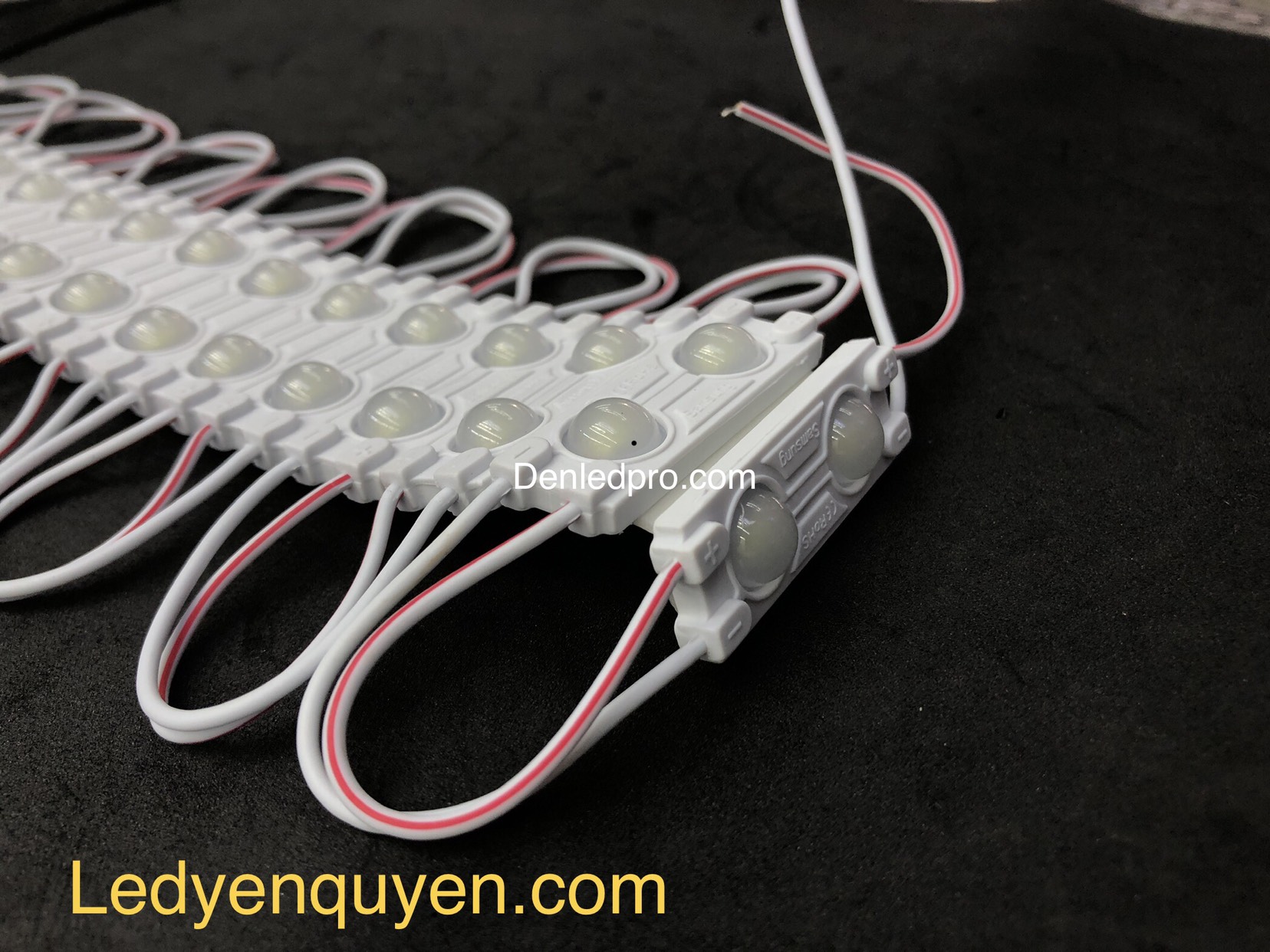 LED MODULE 2 Bóng Lồi 