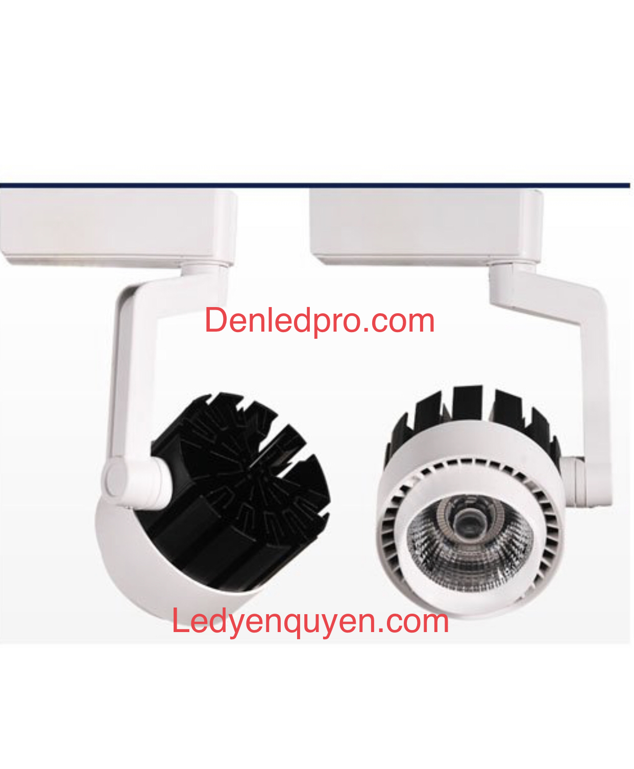 den-ray-cob-20w