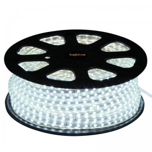 LED DÂY 5050 220V 100m