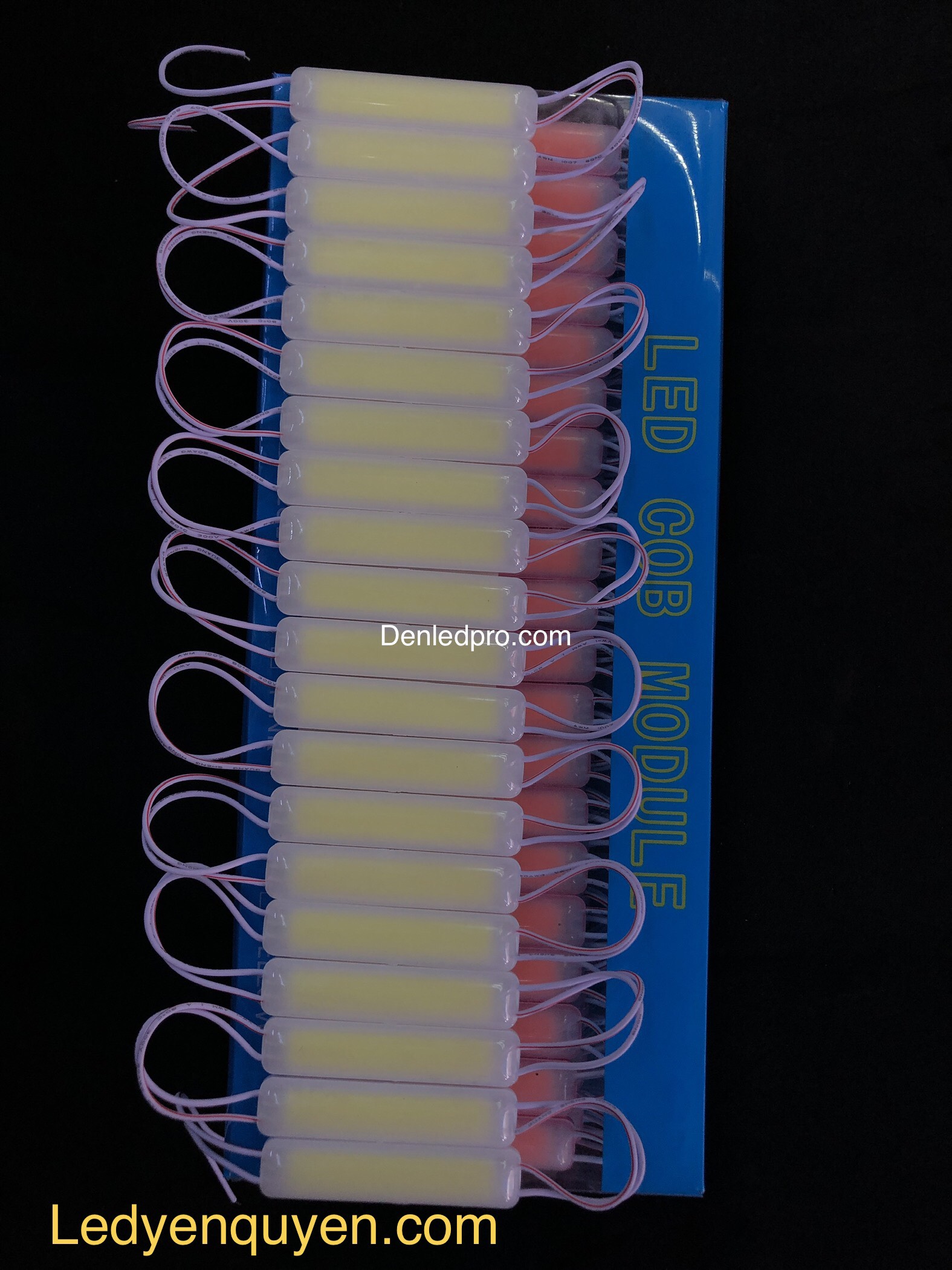 1B LED MODULE COB NCLED