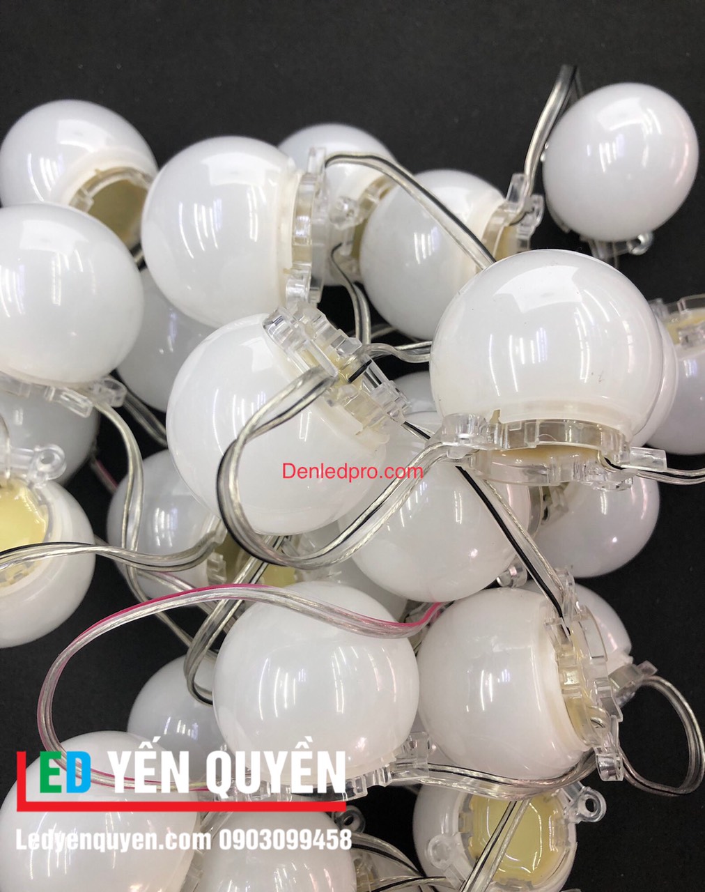 LED Bát Đơn Màu 24v (30mm) Nắp Rời 