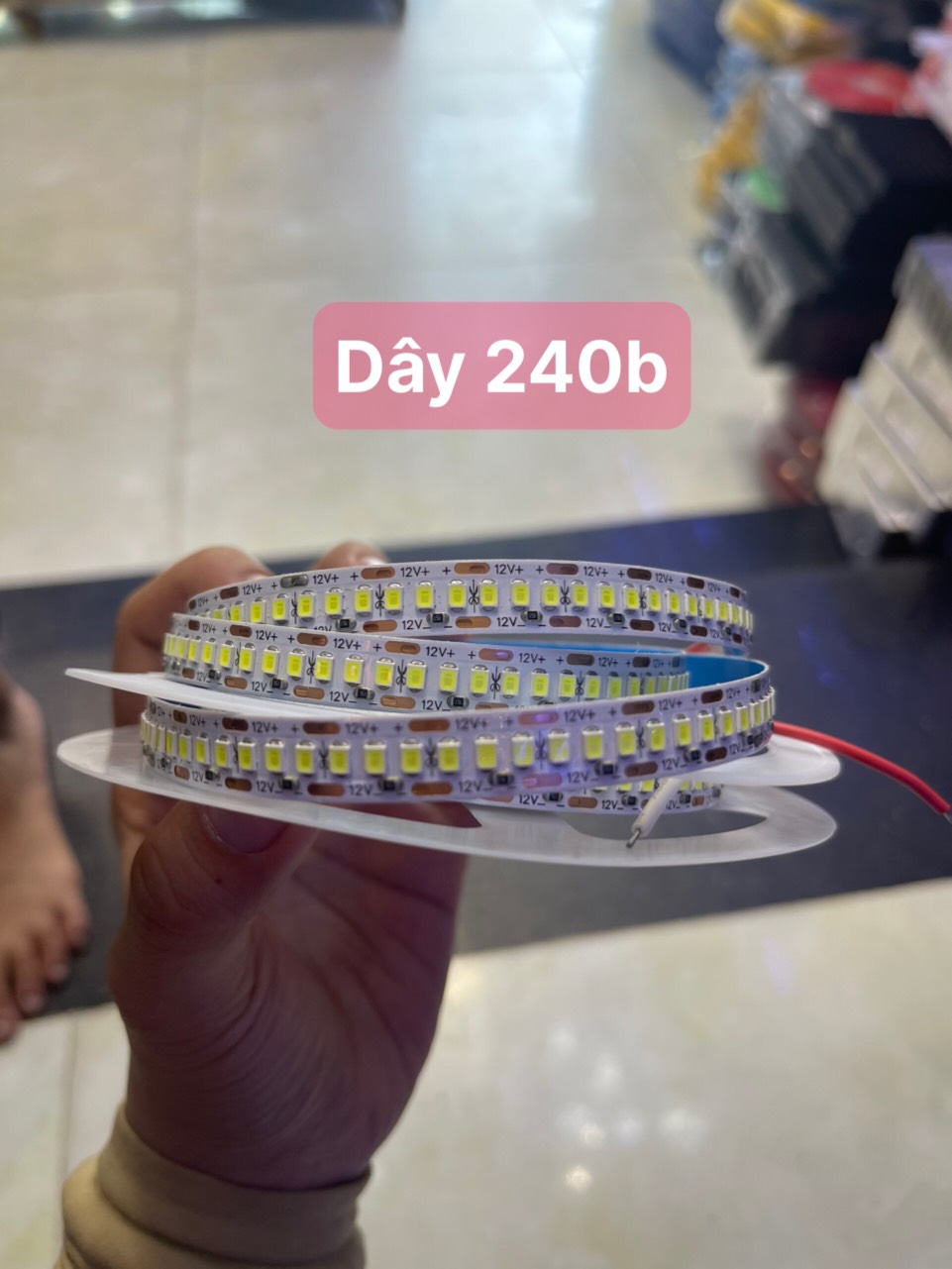 Led dây dán loại 240 bóng/ mét 5m/ cuá»™n Led dây dán loại 240 bóng/ mét 5m/ cuá»™n