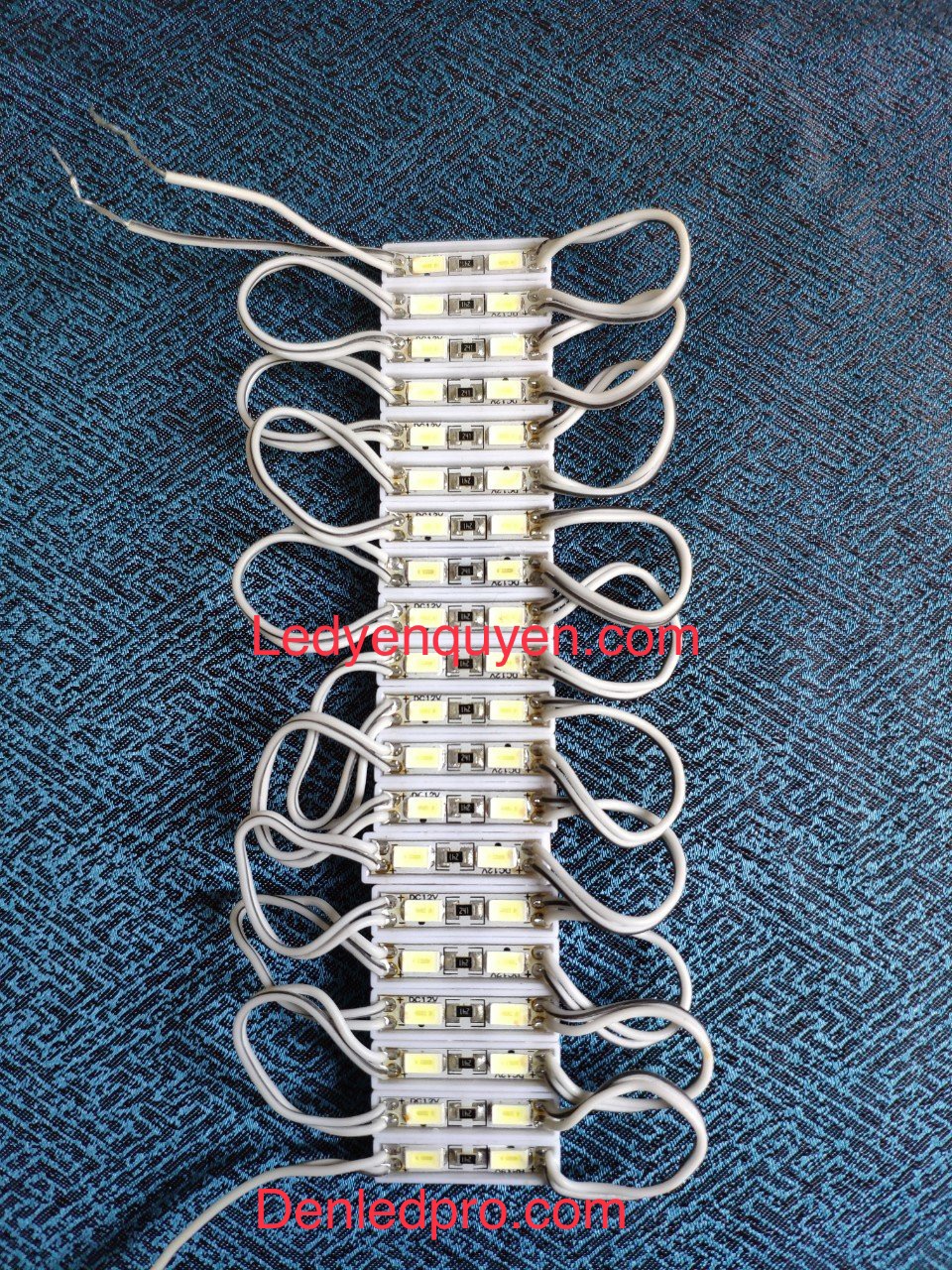 LED MODULE 2 Bóng LED MODULE 2 Bóng